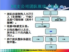 支公司负责人2013述职报告9页.ppt
