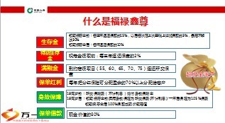 国寿福禄鑫尊豪华至尊版目标市场话术23页.ppt