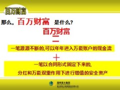 英大泰和人寿百万财富保险介绍责任特色25页.ppt