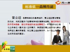 2014年标准营业组方案12页.ppt