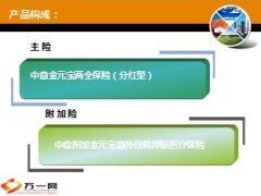 中意人寿金元宝两全产品介绍42页.ppt