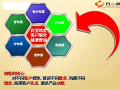 太平洋保险新鸿发年年广东林燕銮分享36页.ppt