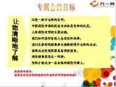 新人专属会讲保险行业33页.ppt