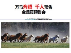 中国人寿金鑫尊预售会操作19页.ppt