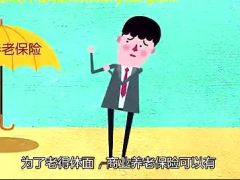 视频普通人如何养老.zip