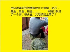 每日快乐早会2013年12月16日使用11页.ppt