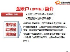 国寿金双喜豪华版简介宣导48页.ppt