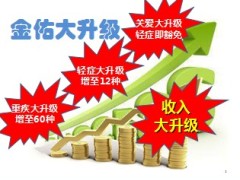 太平洋保险2014金佑人生大升级宣导33页.ppt