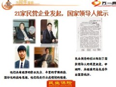 走进民生保险公司介绍17页.ppt
