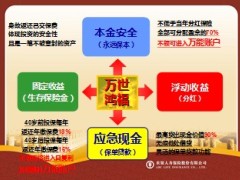 农银人寿2014马年开门红万世鸿福介绍36页.ppt