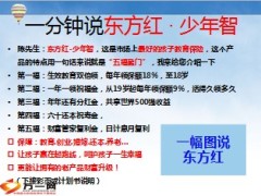 太保寿东方红少年智产品话术11页.ppt