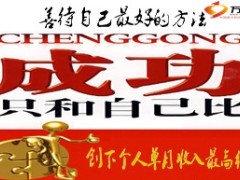 精美冲刺激励专题保险险种停售46页.ppt