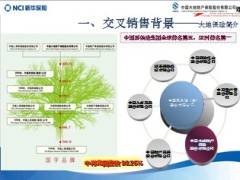 新华保险大地保险交叉销售互动项目说明38页.ppt