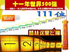 2013年中国人寿介绍排名9页.ppt