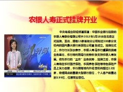 农银人寿2014版公司介绍23页.ppt