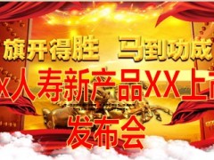 2014马年产品说明会新产品发布会流程30页.ppt