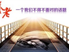 两会合一养老说明会农银金色人生48页.ppt