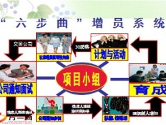 六部曲增员系统项目运作29页.ppt
