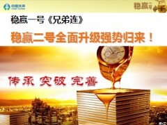 太平人寿2014开门红稳赢二号介绍36页.ppt