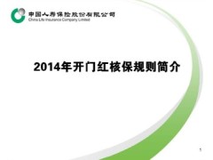 国寿2014年开门红核保规则简介20页.zip