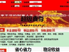 中国人寿金鑫尊豪华版自动计划书.xls