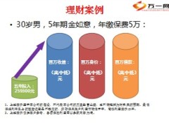 国寿金如意之目标市场分析24页.ppt
