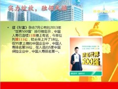 中国人寿2013年成绩汇报15页.ppt