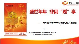 国华盛世年年年金保险C款产品介绍20页.ppt