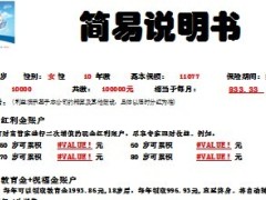 太平洋保险鸿发A定投简易自动说明书.xls