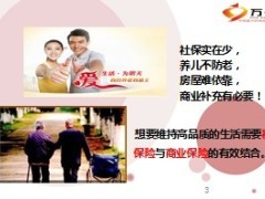 保险版以房养老养老专案范例国华盛世年年11页.ppt