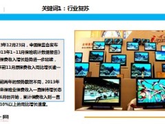 盘点2013保险业六大关键词16页 .ppt