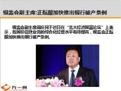 银行破产条例或将出台助推保险业腾飞19页.ppt