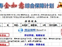 国寿金如意保险自动计划书.xls