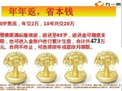 华泰人寿百万财富新解15页.ppt