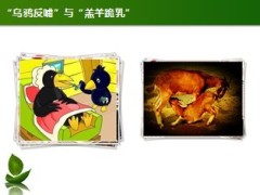 人生的六张情感保单15页.ppt
