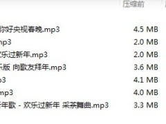 新年春节过年背景音乐.zip