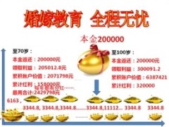 英大人寿百万财富计划书手工修改版2页.doc