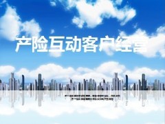 产险互动客户经营12页.ppt