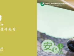 中国人寿新版安心卡A160元样式.zip