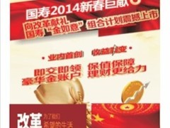 中国人寿金如意宣传学习手册26页.ppt
