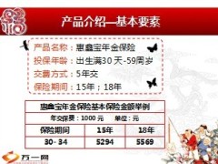 新华银保惠鑫宝年金保险产品解析销售支持24页.ppt