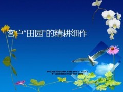 客户精耕细作深度开发55页.ppt