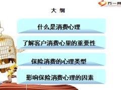保险消费心理分析30页.ppt