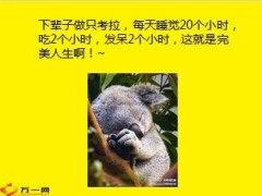 每日快乐早会2014年2月15日使用11页.ppt