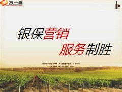 银保营销服务制胜36页.ppt