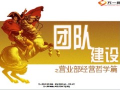 保险优秀团队介绍简介分享19页.ppt