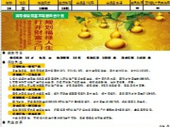中国人寿福禄双喜至尊版自动计划书.xls