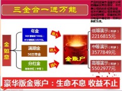 国寿金如意目标市场分析及销售策略28页.ppt