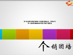 个销团市场需求分析20页.ppt