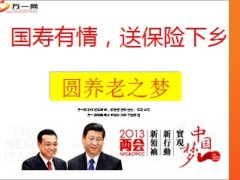 农网养老险产品说明会国寿瑞鑫73页.ppt